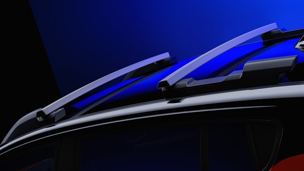 modular roof bars - Renault Kardian